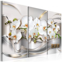 Πίνακας - Blooming Orchids I