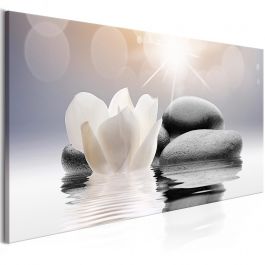 Canvas Print - Natural Lightness (1 Part) Wide