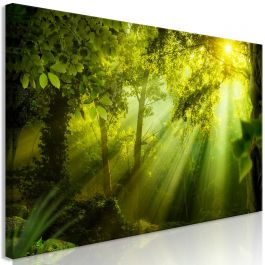 Canvas Print - In the Sunshine (1 Part) Narrow
