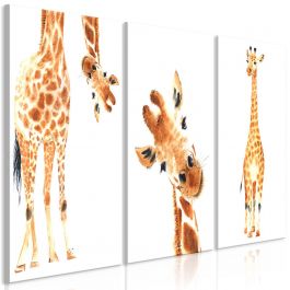 Πίνακας - Funny Giraffes (3 Parts)