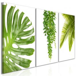 Canvas Print - Beautiful Palm Trees (3 Parts) 120x60