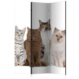 Διαχωριστικό με 3 τμήματα - Sweet Cats [Room Dividers] 135x172