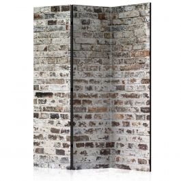 Διαχωριστικό με 3 τμήματα - Old Walls [Room Dividers] 135x172