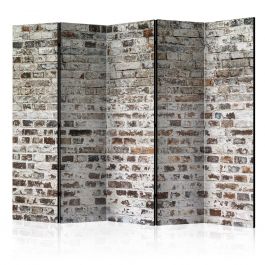 Διαχωριστικό με 5 τμήματα - Old Walls II [Room Dividers] 225x172