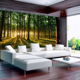 Wallpaper - Spring: Morning in the Forest