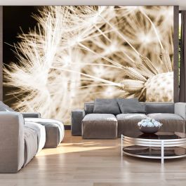 Wallpaper - Dandelion - sepia