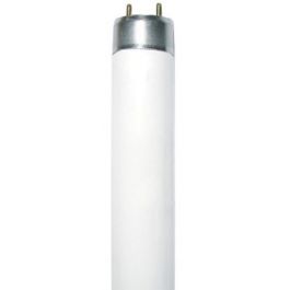Fluorescent Lamp G13 Fluorescent 36W 4000K T8 Diolamp