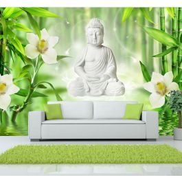 Αυτοκόλλητη φωτοταπετσαρία - Buddha and nature