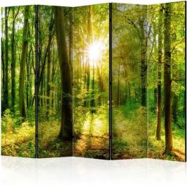 5-part divider - Forest Rays II [Room Dividers]