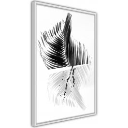 Αφίσα - Abstract Feather