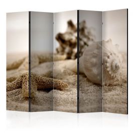 5-section divider - Beach and shell II [Room Dividers]