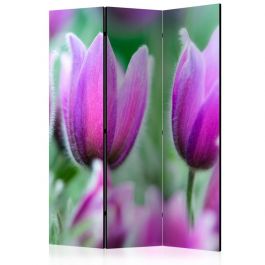 Διαχωριστικό με 3 τμήματα - Purple spring tulips [Room Dividers]