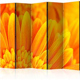 Διαχωριστικό με 5 τμήματα - Yellow gerbera daisies II [Room Dividers]