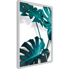 Αφίσα - Turquoise Monstera II