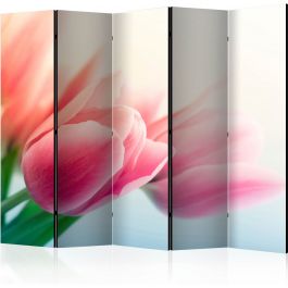 Διαχωριστικό με 5 τμήματα - Spring and tulips II [Room Dividers]