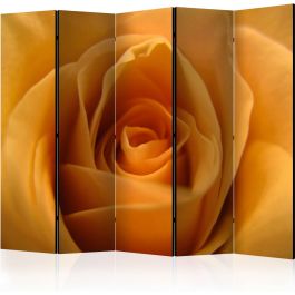 Διαχωριστικό με 5 τμήματα - Yellow rose – a symbol of friendship II [Room Dividers]