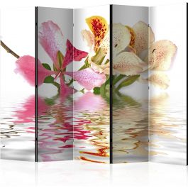 Διαχωριστικό με 5 τμήματα - Tropical flowers - orchid tree (bauhinia) II [Room Dividers]