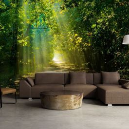 Self-adhesive photo wallpaper - Road in Sunlight