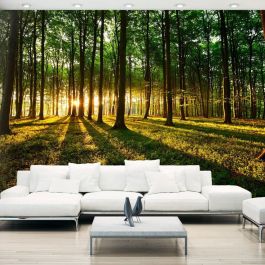 Self-adhesive photo wallpaper - Mystical Morning