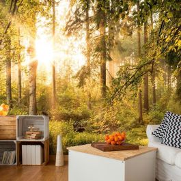 Self-adhesive photo wallpaper - Mystic of the Morning
