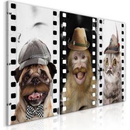 Table - Funny Pets (Collection)