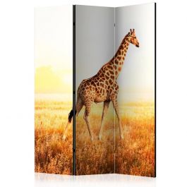 Διαχωριστικό με 3 τμήματα - giraffe - walk [Room Dividers]