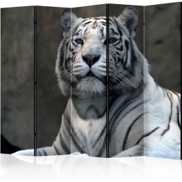 Διαχωριστικό με 5 τμήματα - Bengali tiger in zoo II [Room Dividers]