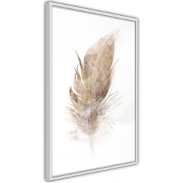 Αφίσα - Lost Feather (Beige)