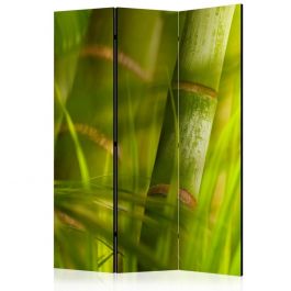 Διαχωριστικό με 3 τμήματα - bamboo - nature zen [Room Dividers]