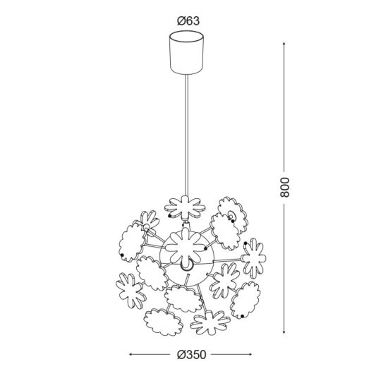 product-info-overview-image