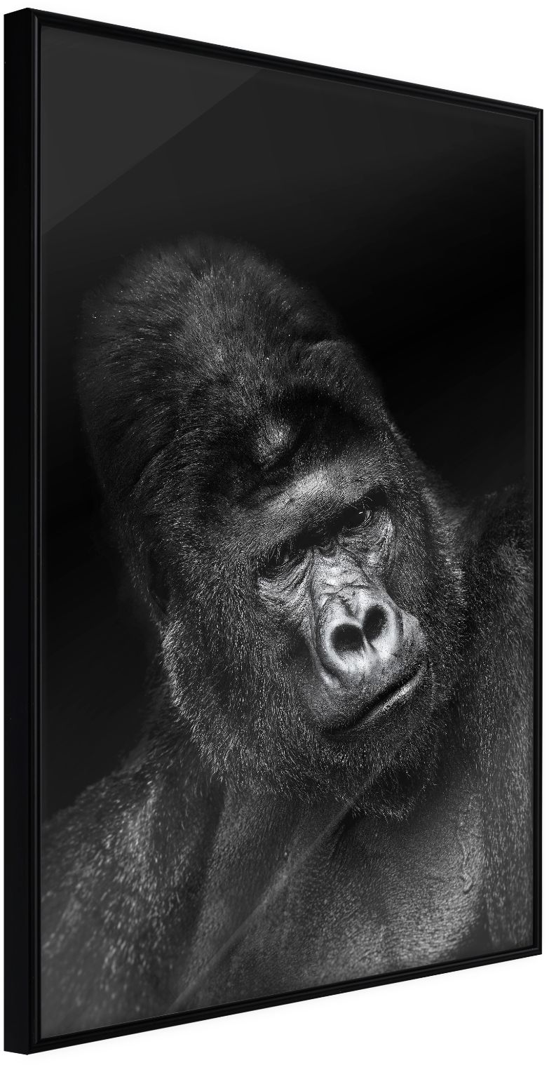 PoliHome Αφίσα - Intelligent Gaze - 40x60 - Μαύρο - Χωρίς πασπαρτού