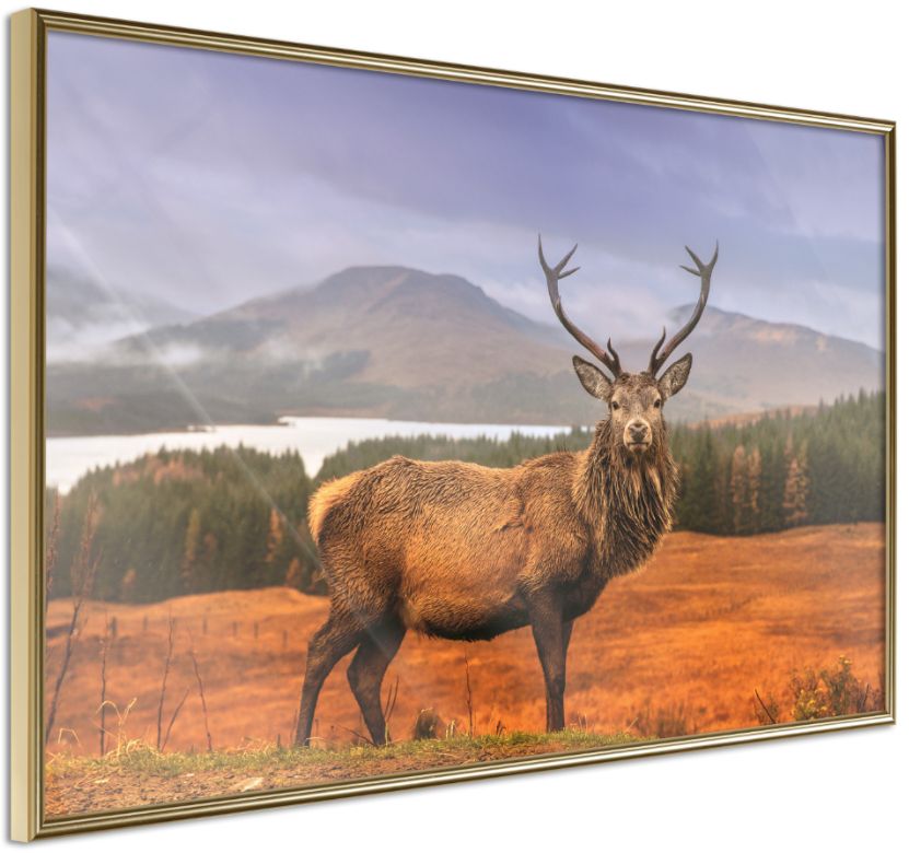 PoliHome Αφίσα - Majestic Deer - 60x40 - Χρυσό - Χωρίς πασπαρτού