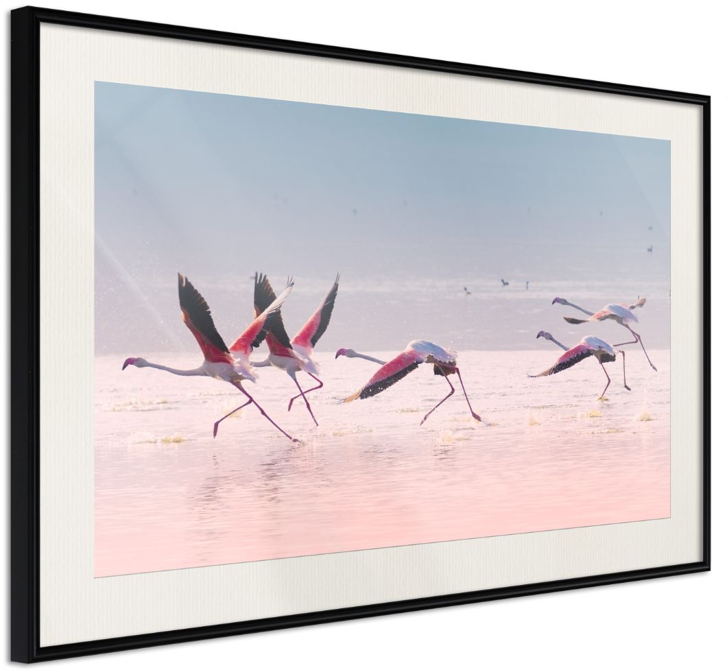 PoliHome Αφίσα - Flamingos Breaking into a Flight - 30x20 - Μαύρο - Με πασπαρτού