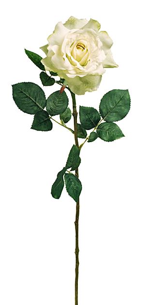 Διακοσμητικό Τριαντάφυλλο Georgia Mint