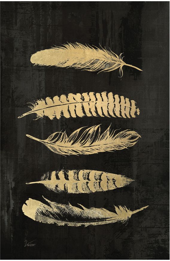 Πίνακας Feathers