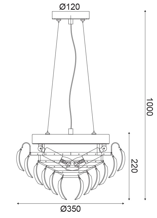 product-info-overview-image