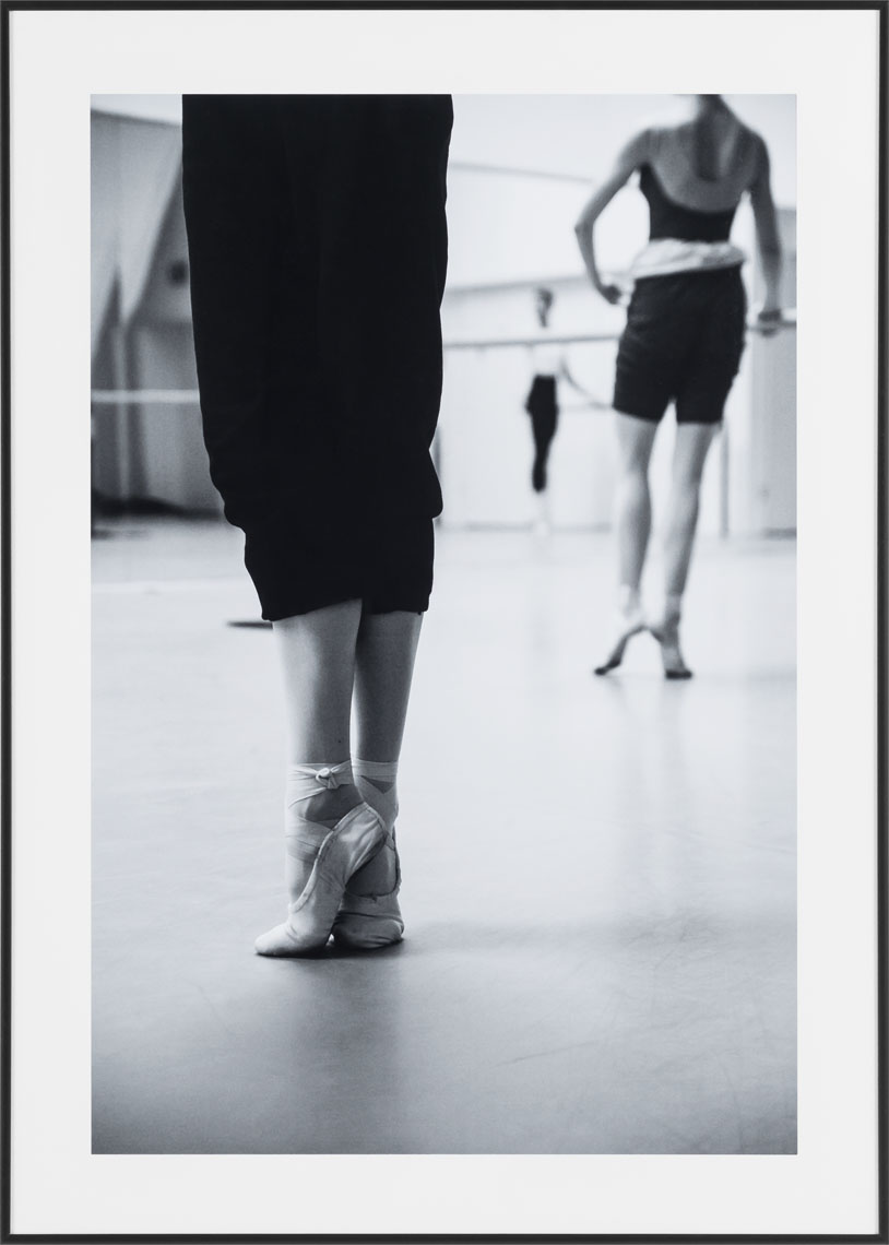 PoliHome Κάδρο Balletto