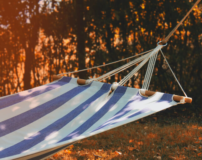 Hammocks