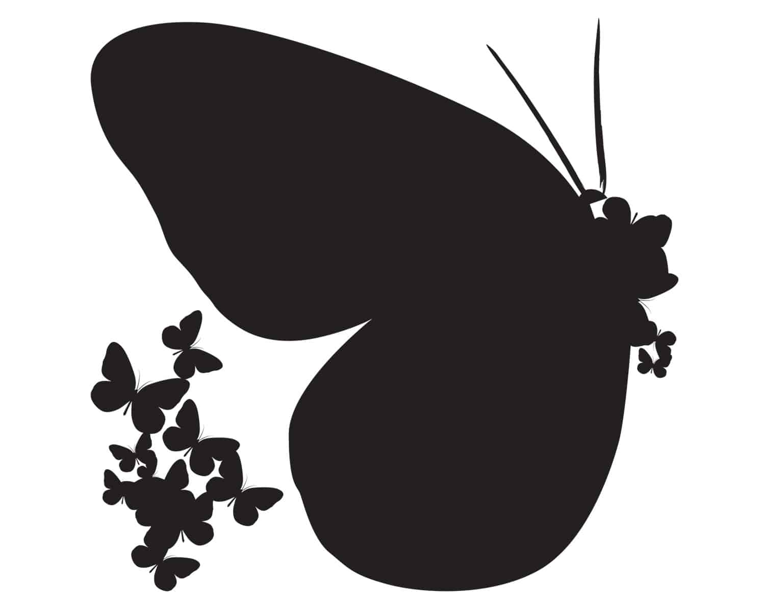 Διακοσμητικά αυτοκόλλητα τοίχου Butterflies Silhouettes Ango φωτογραφία