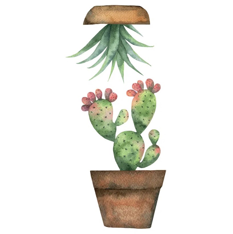 Διακοσμητικά αυτοκόλλητα τζαμιού Cactus S φωτογραφία