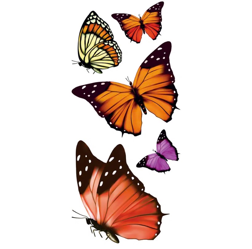 Διακοσμητικά αυτοκόλλητα τζαμιού Butterflies S φωτογραφία