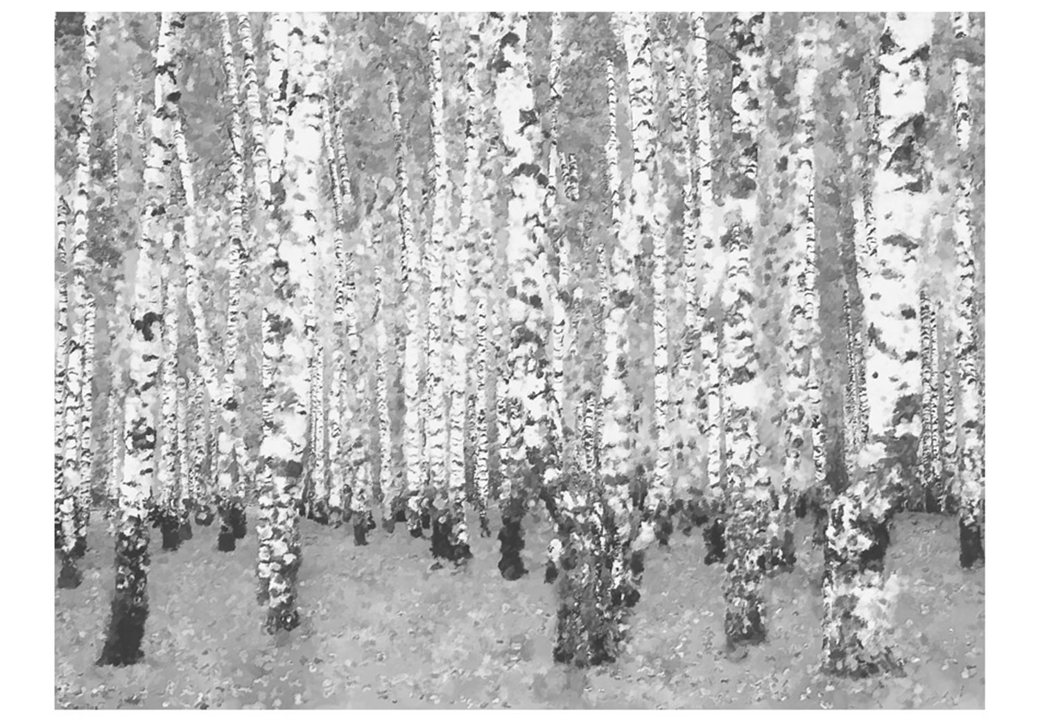 Φωτοταπετσαρία - Birch seclusion 250x193 φωτογραφία