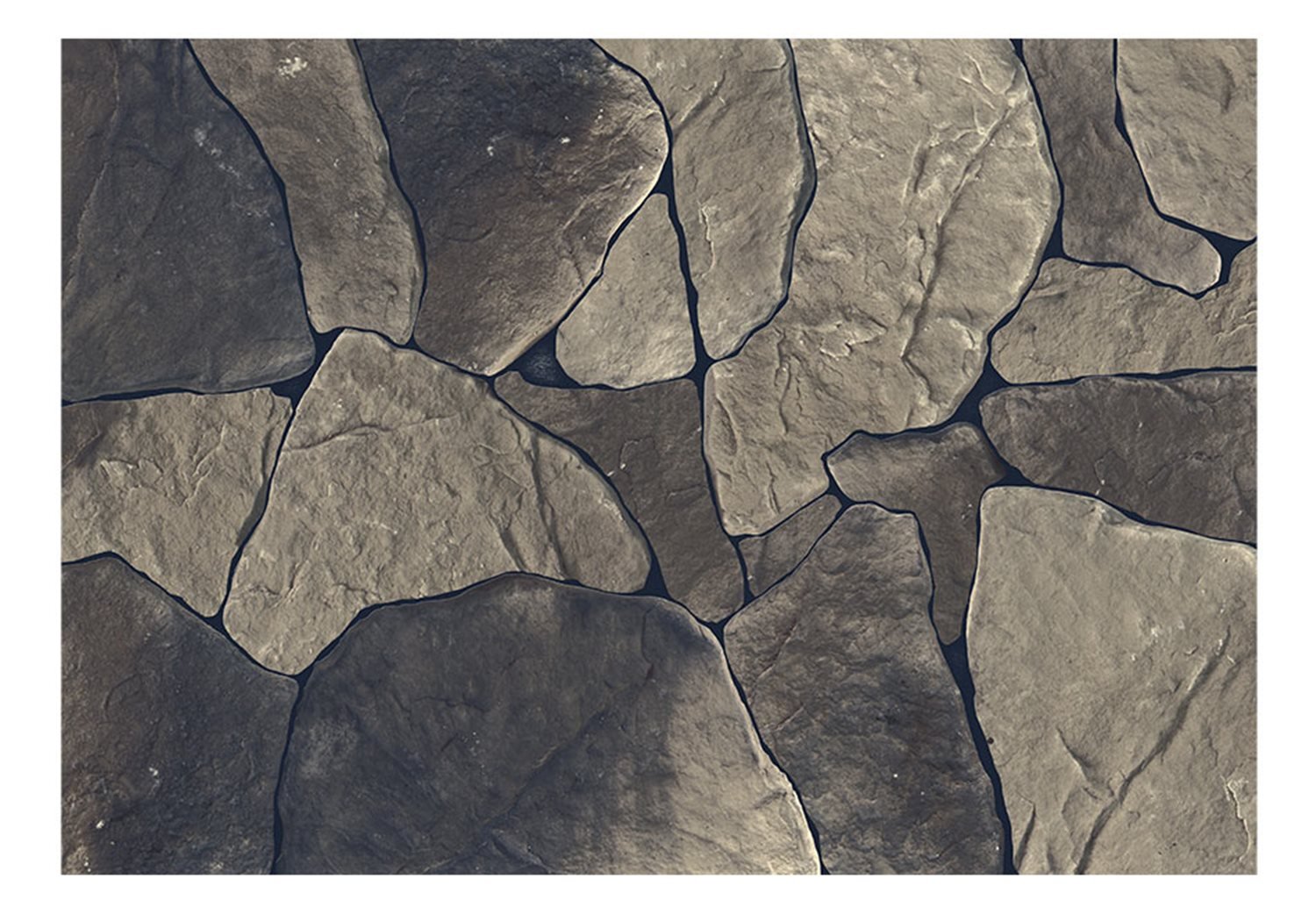 Φωτοταπετσαρία - Baltic Brown 200x140 φωτογραφία