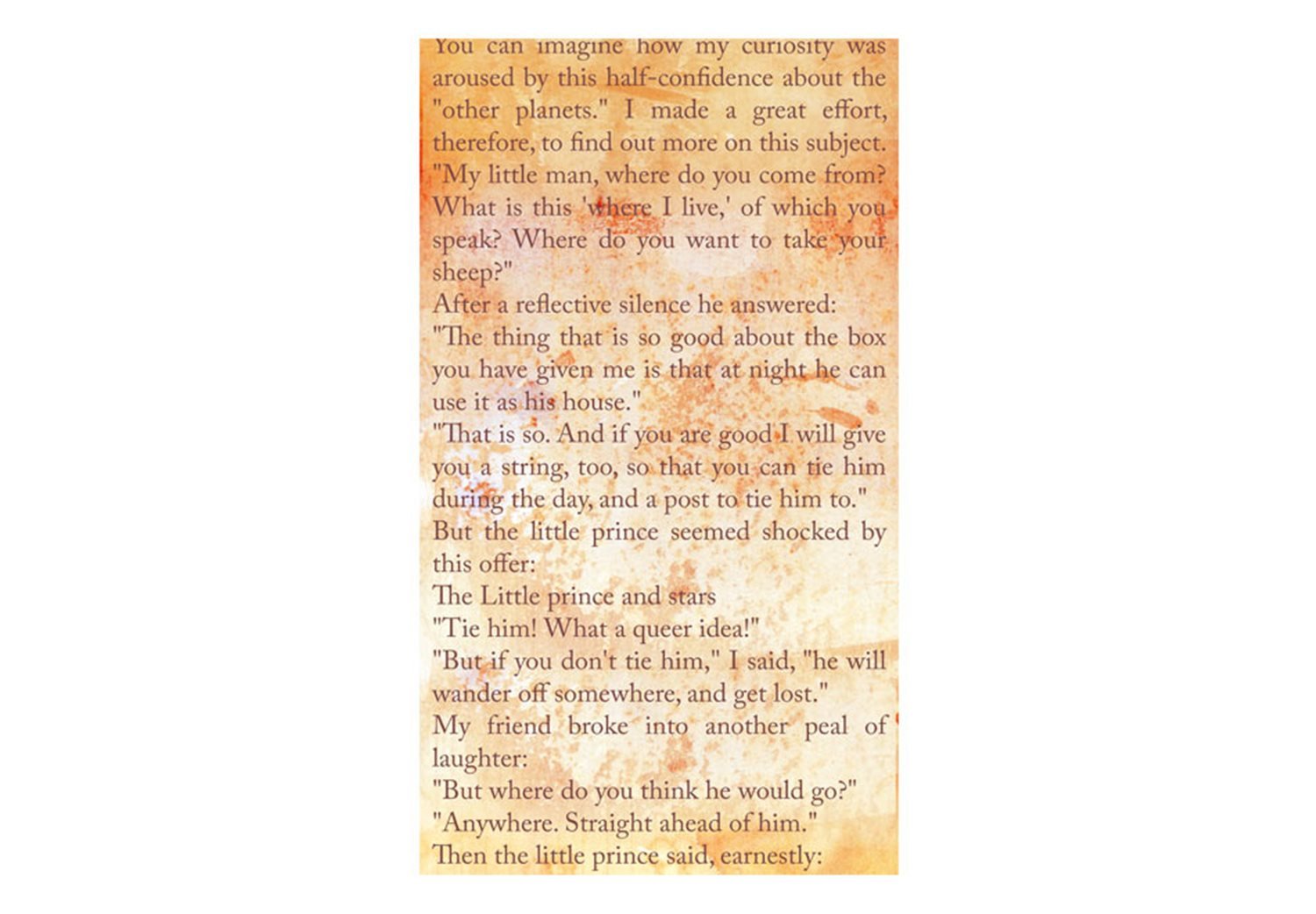 Φωτοταπετσαρία - The Little Prince - Message Of Love 50x1000 φωτογραφία