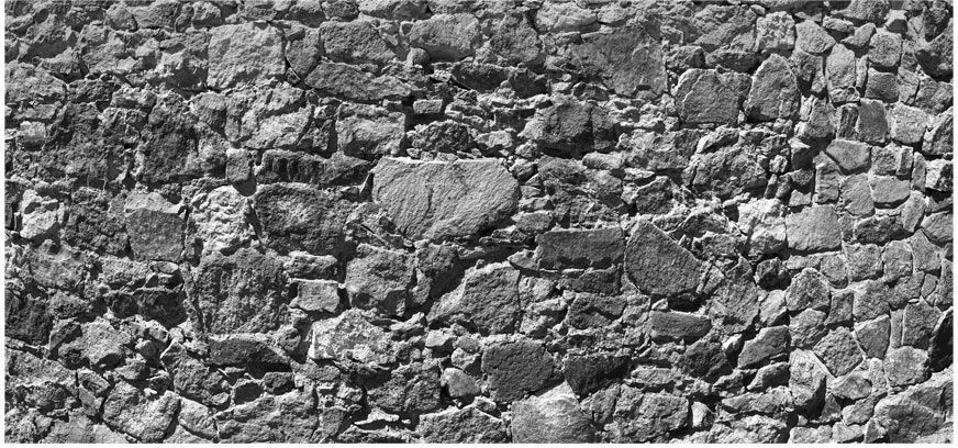 Αυτοκόλλητη φωτοταπετσαρία - Tempus fugit III φωτογραφία